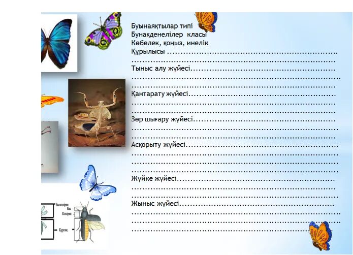 Бунакденелілер. Биологиядан карточка. Реферат биологиядан. Биологиядан тест. Казак тест 4 сынып