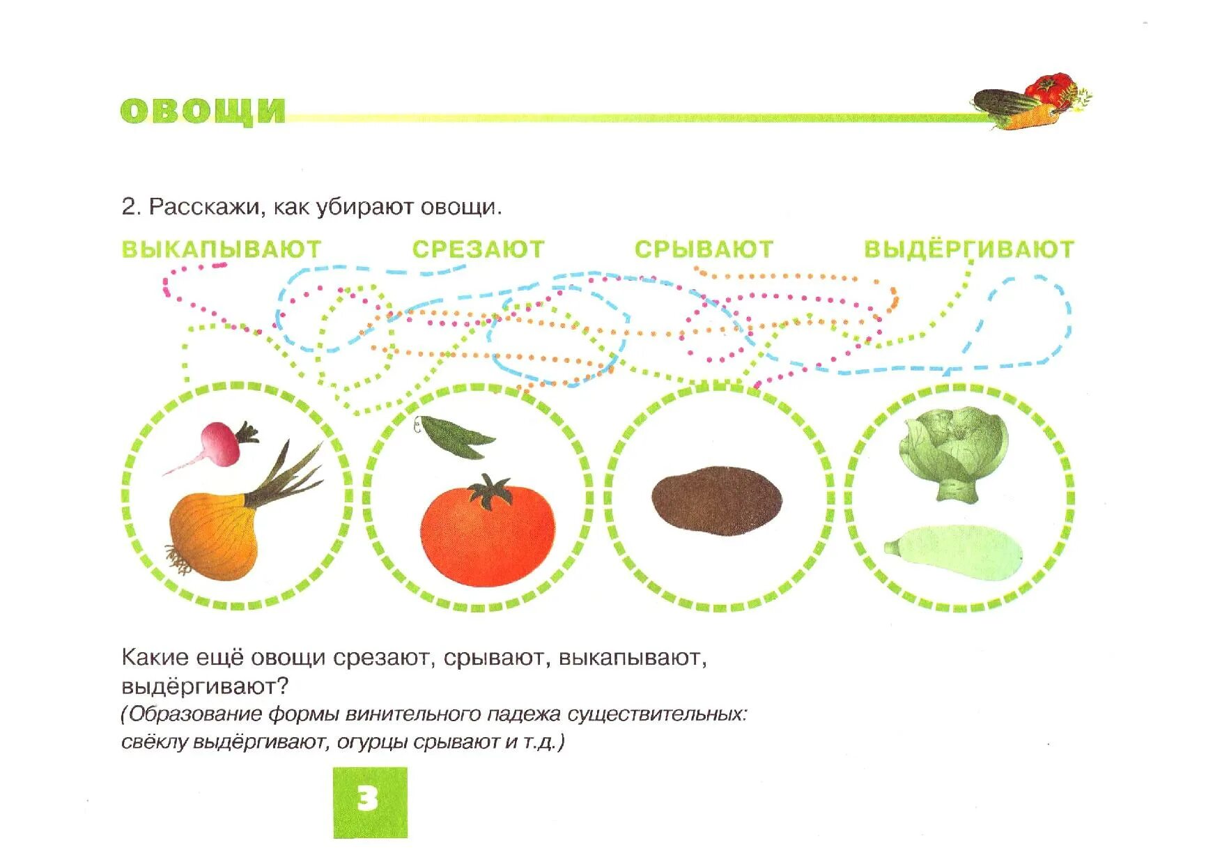 Н.С.Русланова дидактический материал по лексической теме овощи. Лексическая тема овощи и фрукты в подготовительной группе. Фрукты задания для дошкольников. Овощи задания для дошкольников. Задание 5 овощи