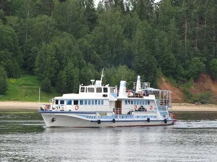 Чижик москва река