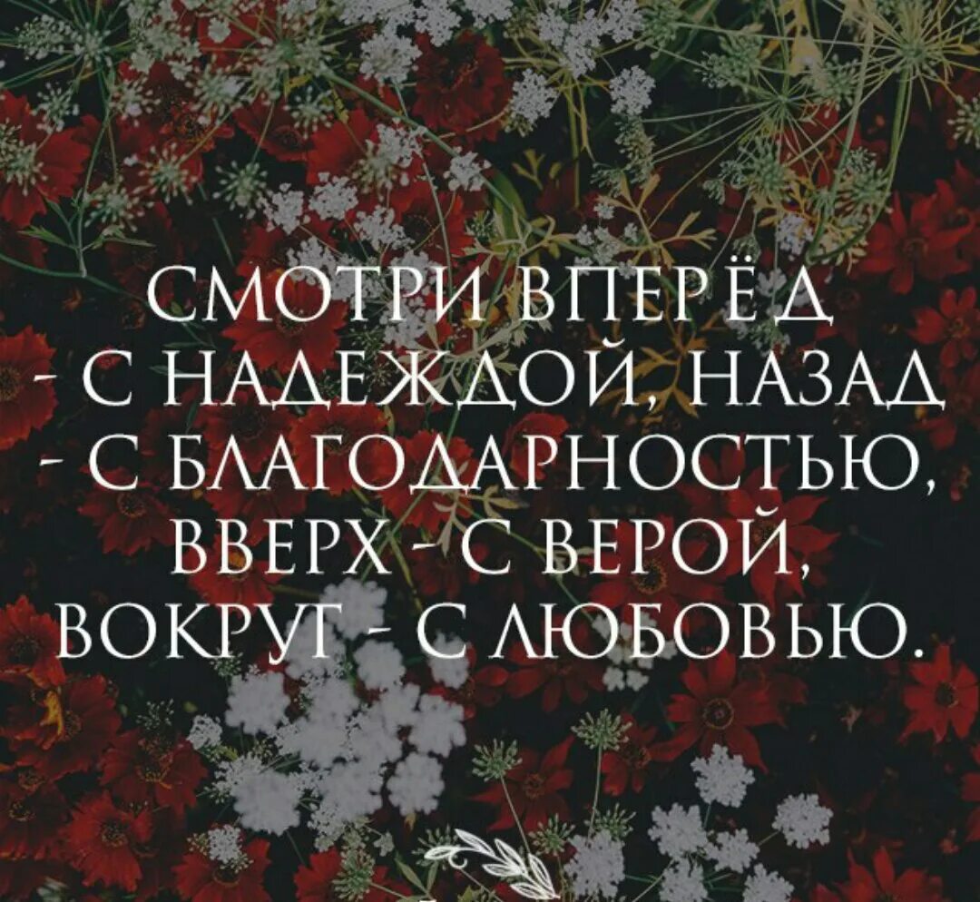 Вперед с надеждой назад с благодарностью. Цитаты про надежду. смотрю вперед с надеждой назад с благодарностью вверх.