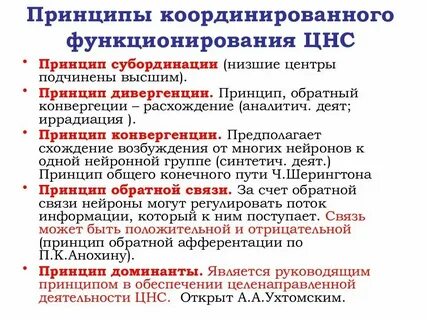 Основные принципы координации рефлекторной деятельности