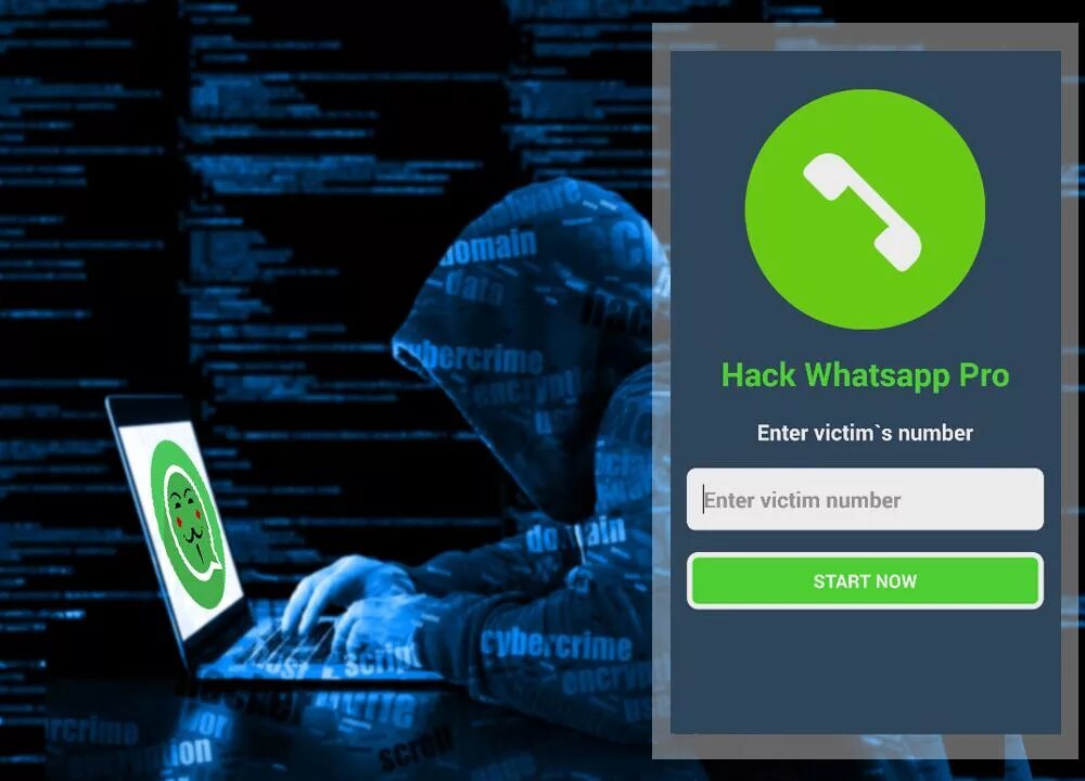 Ватсап хакер. WHATSAPP Hack чтение чужих переписок. Злом вацап. Услуги хакера по взлому ватсап по москве