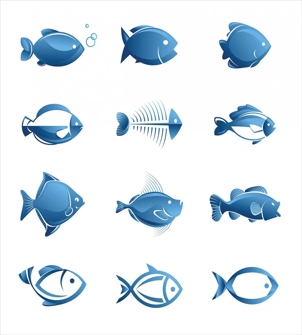 Как выглядит значок рыб Fish Icon Set stock vector. Illustration of contour, food 77318695
