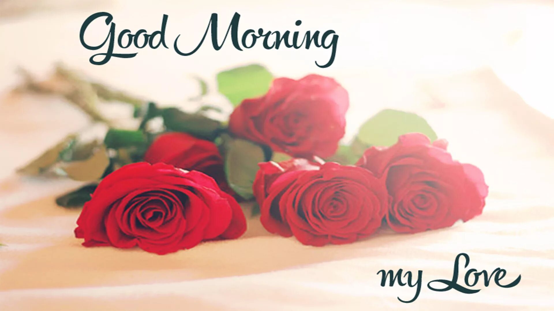 Good morning my. Good morning Love. Good morning my Love. Фото good morning my Love. Good morning цветы.