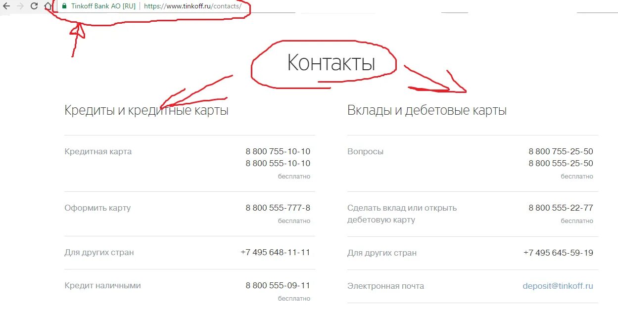 Номер тинькофф банка. Номер телефона тинькофф банк. тинькофф банк контакты. банковский номер тинькофф.