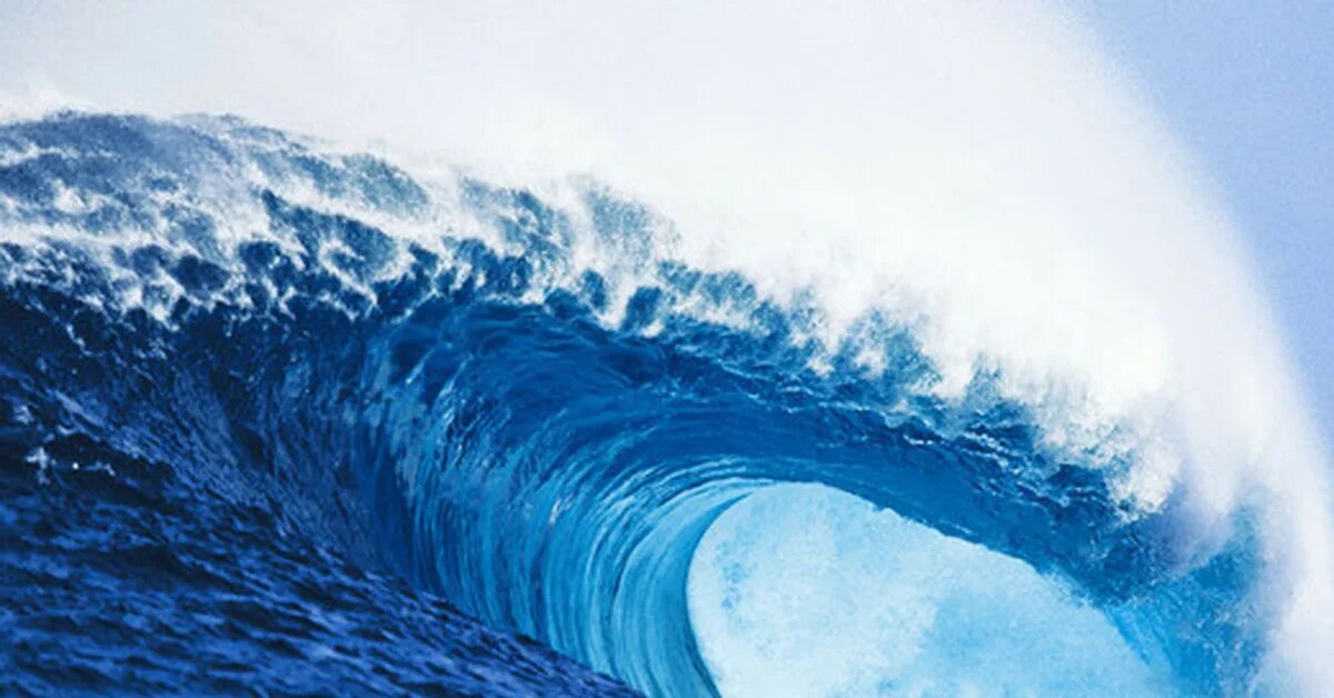 Am looking the wave. Wave. wave надпись. нтер wave. wave shell.