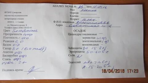 Анализ на псориаз