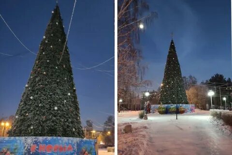 Будет ли елка в этом году