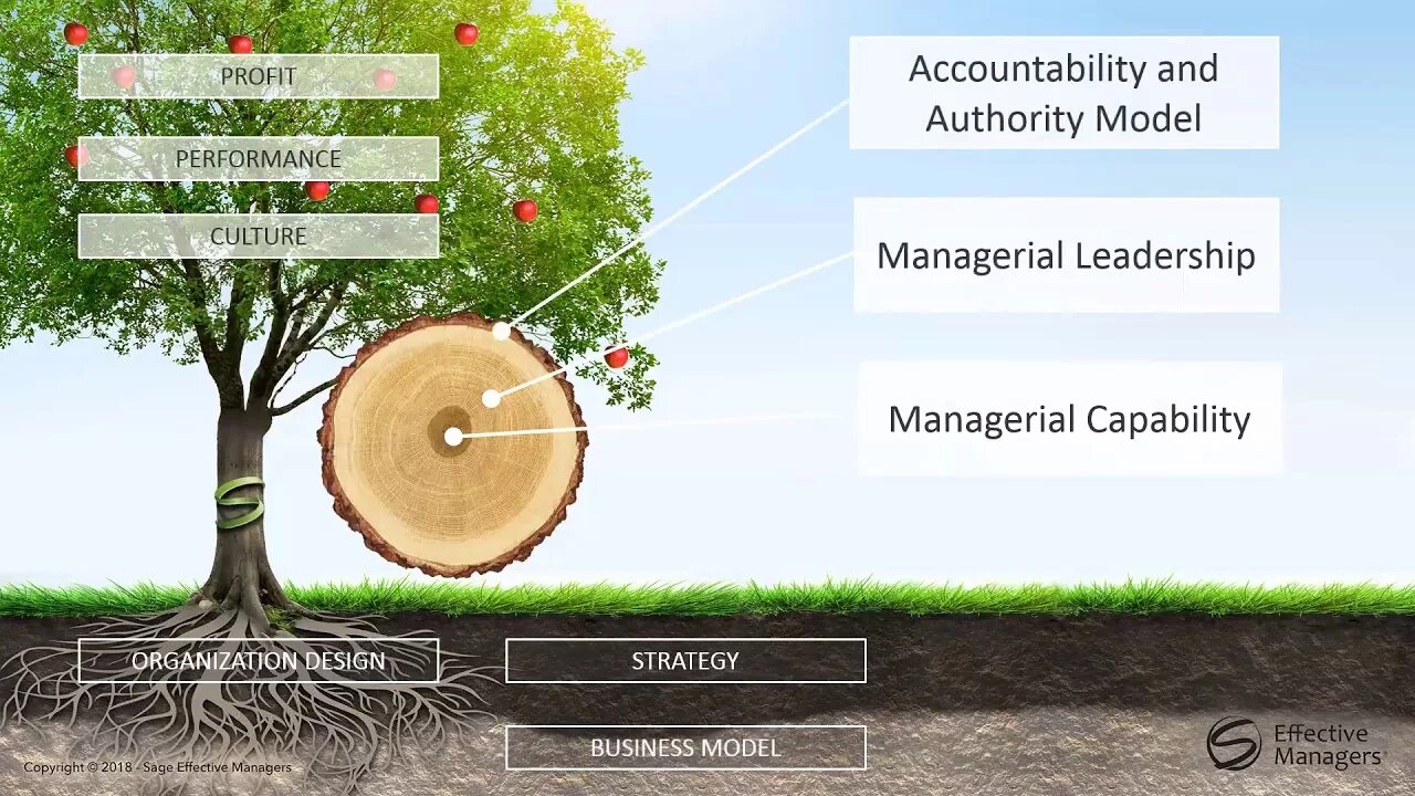 Organization performance. Profitability and performance management. effective management. effective overlap and non effective. effective overlap and non effective chemistry.