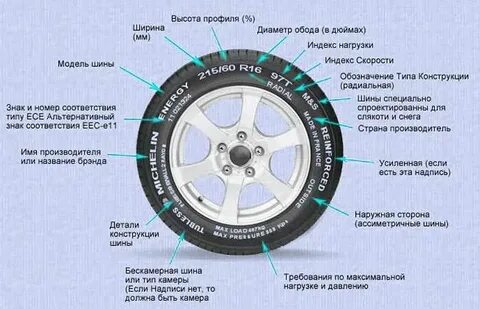 Как узнать модель шины