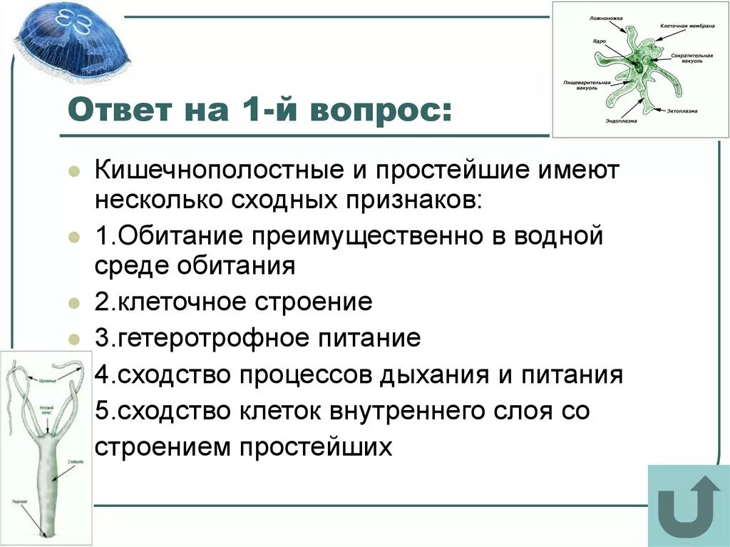 Какие черви кишечнополостные. Общая характеристика кишечнополостных биология 7. Особенности строения кишечнополостных. Сравнительная таблица кишечнополостных и червей. Сравнительная таблица простейших и кишечнополостных.