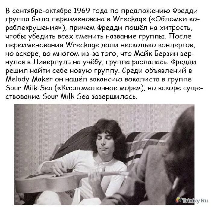 Жизнь фредди меркьюри. Фредди меркьюри в жизни. фредди меркьюри интересные факты из жизни. фредди меркьюри интересные факты. фредди меркьюри биография и личная.