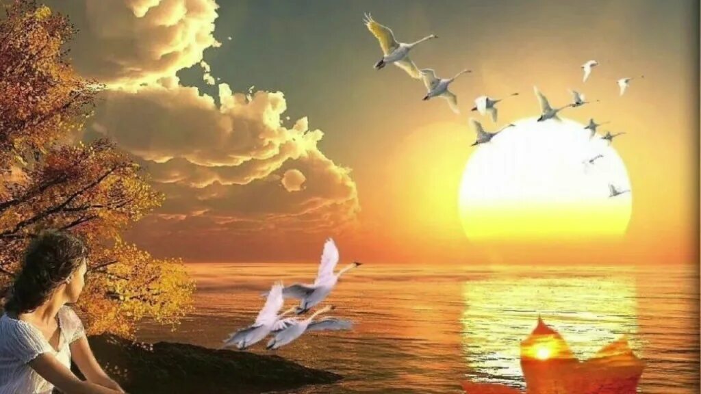 полет души. и в печали и в радости. летим туда где солнца свет. душа улетает. журавли любовь.