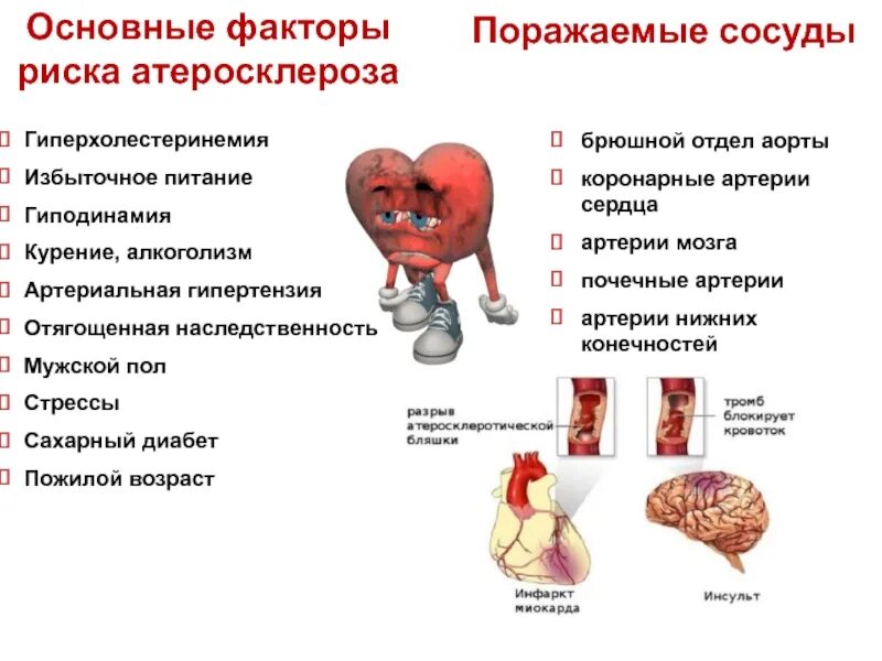 Атеросклероз аорты что это такое простыми. Гиперхолестеринемия факторы риска. факторы риска атеросклероза. факторы риска артериальной гипертензии. атеросклероз коронарных артерий факторы риска.