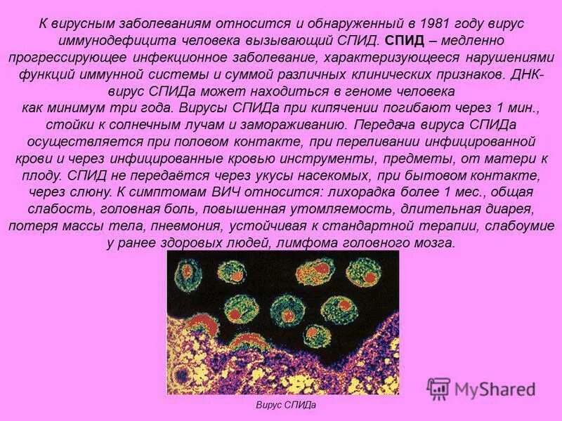 Лабораторная работа по биологии спид и гепатит. Вирусы заболевания. СПИД сообщение по биологии. Вирусы и заболевания кратко. Сообщение о вирусе ВИЧ.