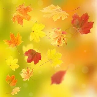 Flight leaves