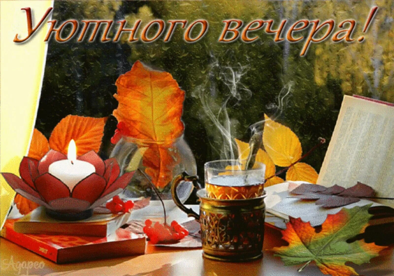 Добрый тихий осенний вечер. Доброго осеннего вечера. доброго осененнено внсера. уютного осеннего вечера. хорошего осеннего вечера и отличного настроения.