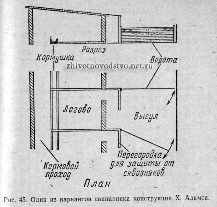 Свинарник размеры. Свинарник размеры