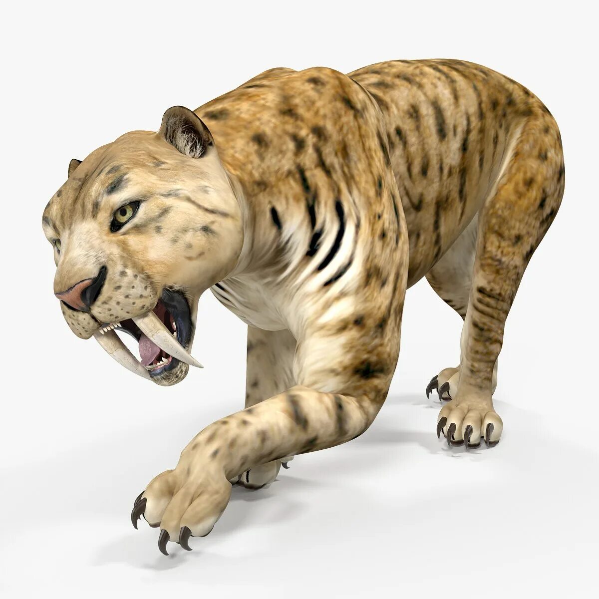 Smilodon. Cмилодон (Саблезубый тигр). Тигр Смилодон. Саблезубые тигры Смилодоны. Саблезубый тигр и тигр.