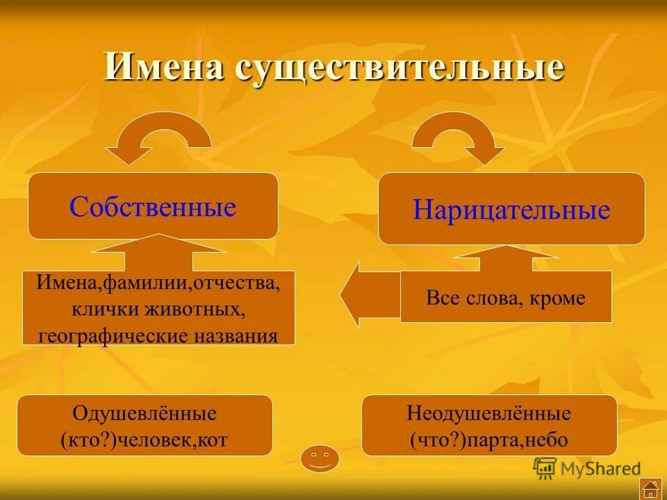 учитель существительное обозначает