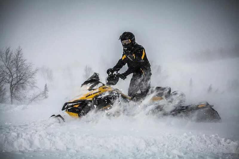 Www snowmobile ru. Квадроцикл снегоход. Квадро снегоход. Квадроциклы и снегоходы баннер.