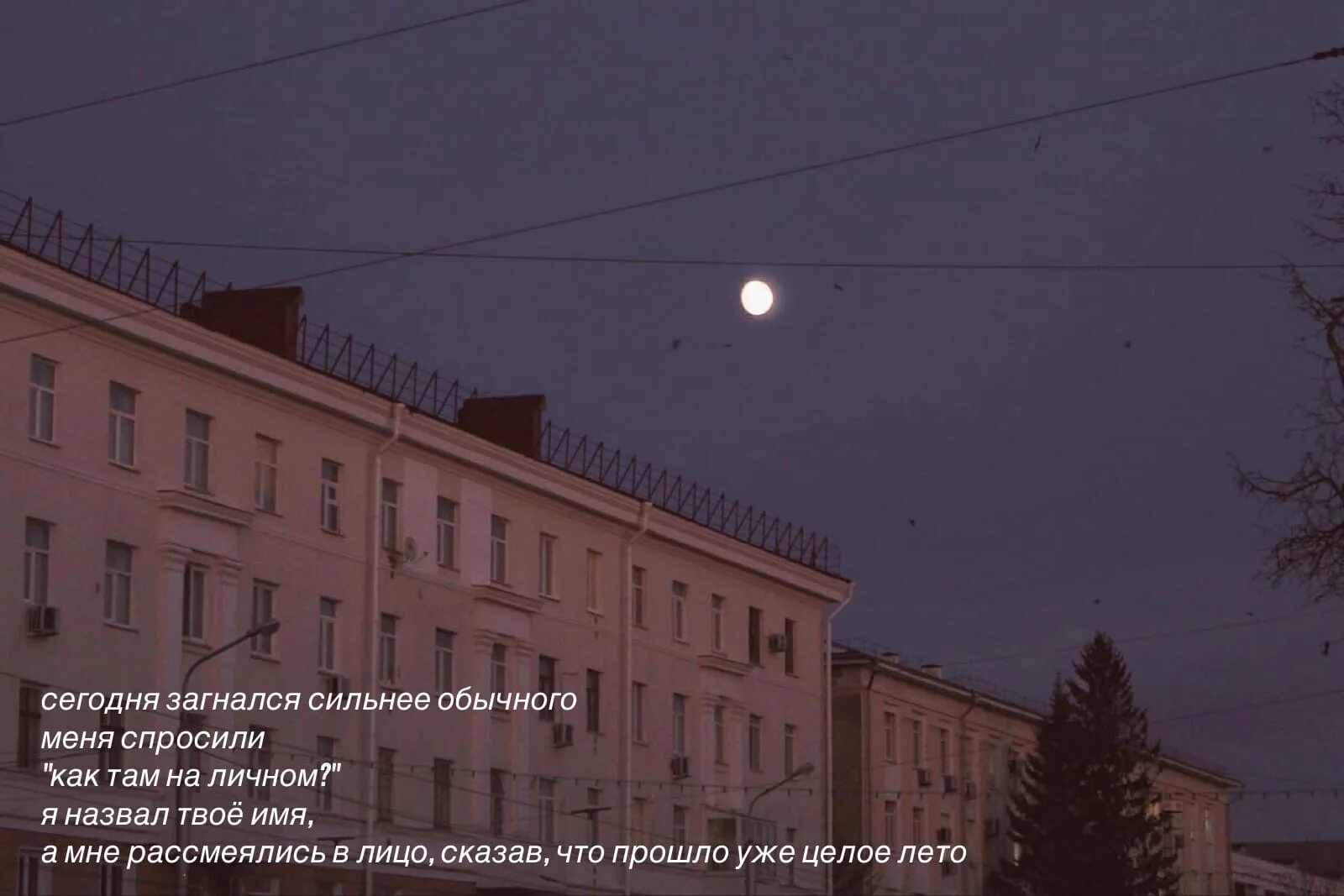 Vspak сегодня загнался сильнее обычного текст. Сегодня загнался сильнее обычного vspak. вспак загнался. сегодня загнался сильнее обычного у меня. дорогая сегодня загнался сильнее обычного.