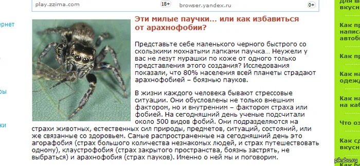 Как называется фобия на насекомых. Как называется фобия пауков. арахнофобия это боязнь пауков.