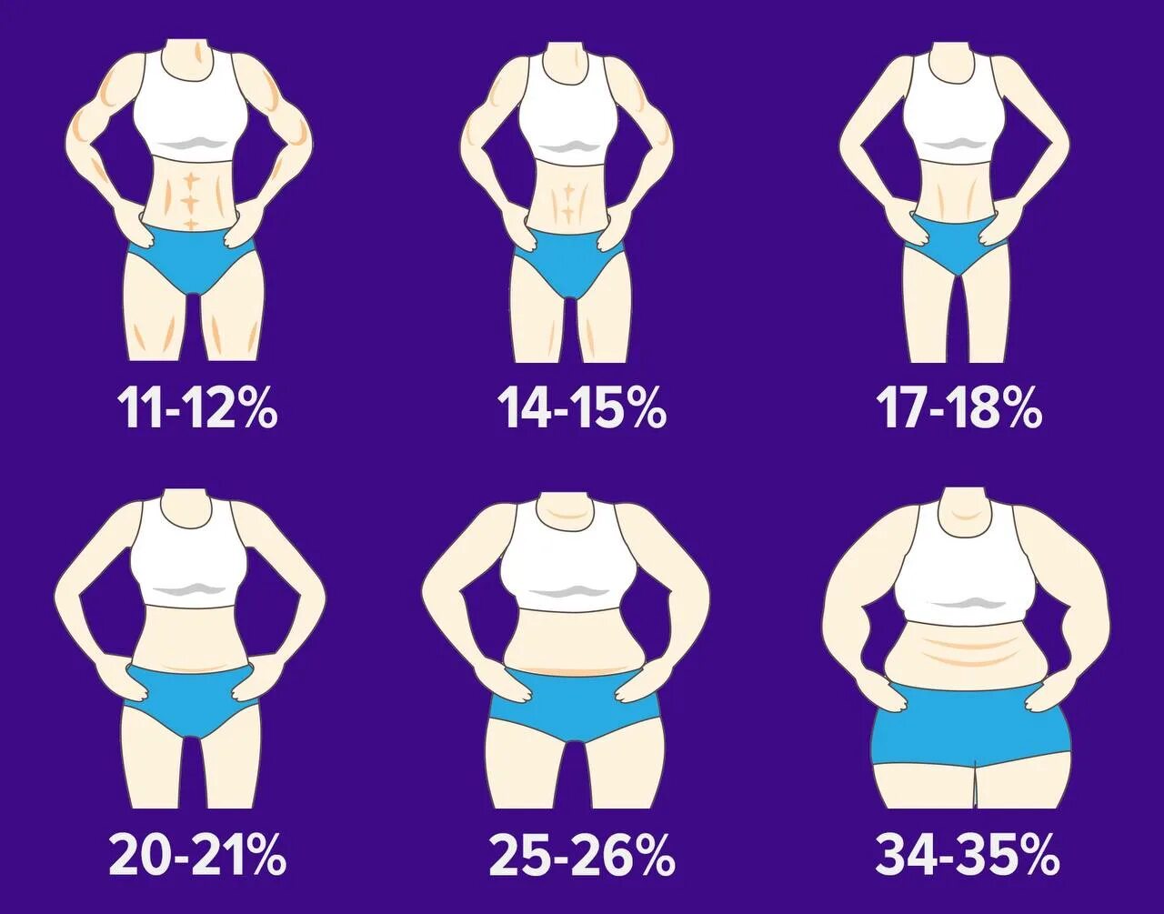 Норма жира в организме. Процент жира. Процент жира и мышц в организме. Процентное соотношение жира в теле.