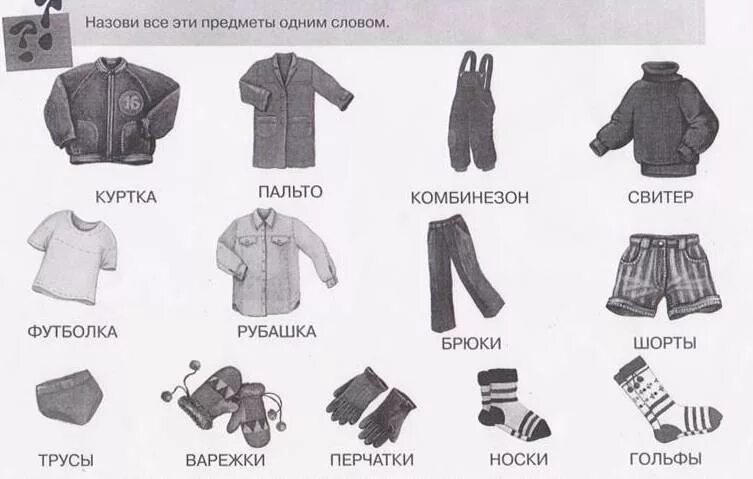 Одежда обобщающее слово. Одежда обобщающее слово