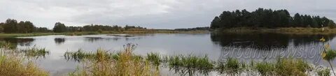 Деревня волчки