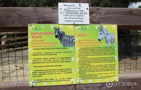 Билет в зоопарк сафари парк. Расписание сафари. Билет в сафари парк. Сафари-парк краснодар 2022. Зоопарк краснодар.