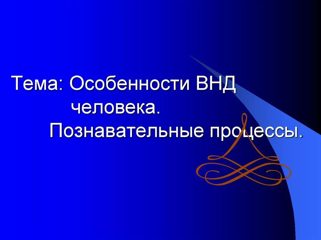 Особенности высшей нервной деятельности человека речь. Особенности ВНД человека. Познавательные процессы высшей нервной деятельности. Особенности высшей нервной деятельности человека. Основы высшей нервной деятельности Познавательные процессы.