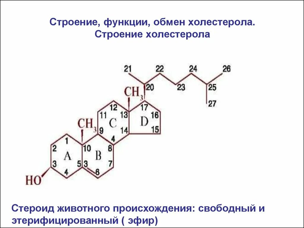 Формула холестерола. Химическая структура холестерина. Химическое строение холестерола. Структура холестерола биохимия. Строение холестерина биохимия.