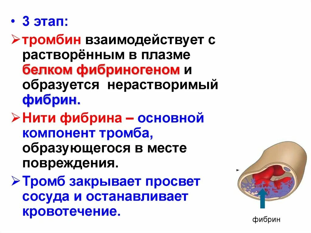 Что является тромба