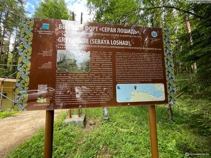 Форт серая лошадь ленинградская область