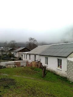 Погода в бедыке