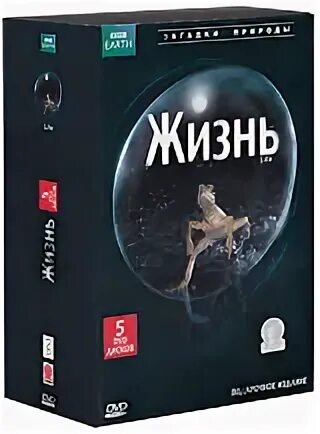 Bbc жизнь
