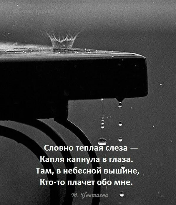 Слезы не надо капать. Дождь это слезы цитаты. Высказывания про дождь. Фразы про дождь. Небо плачет.