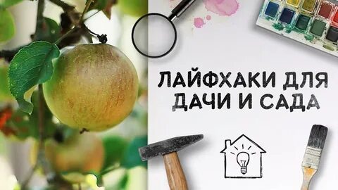 Секреты жизни на даче