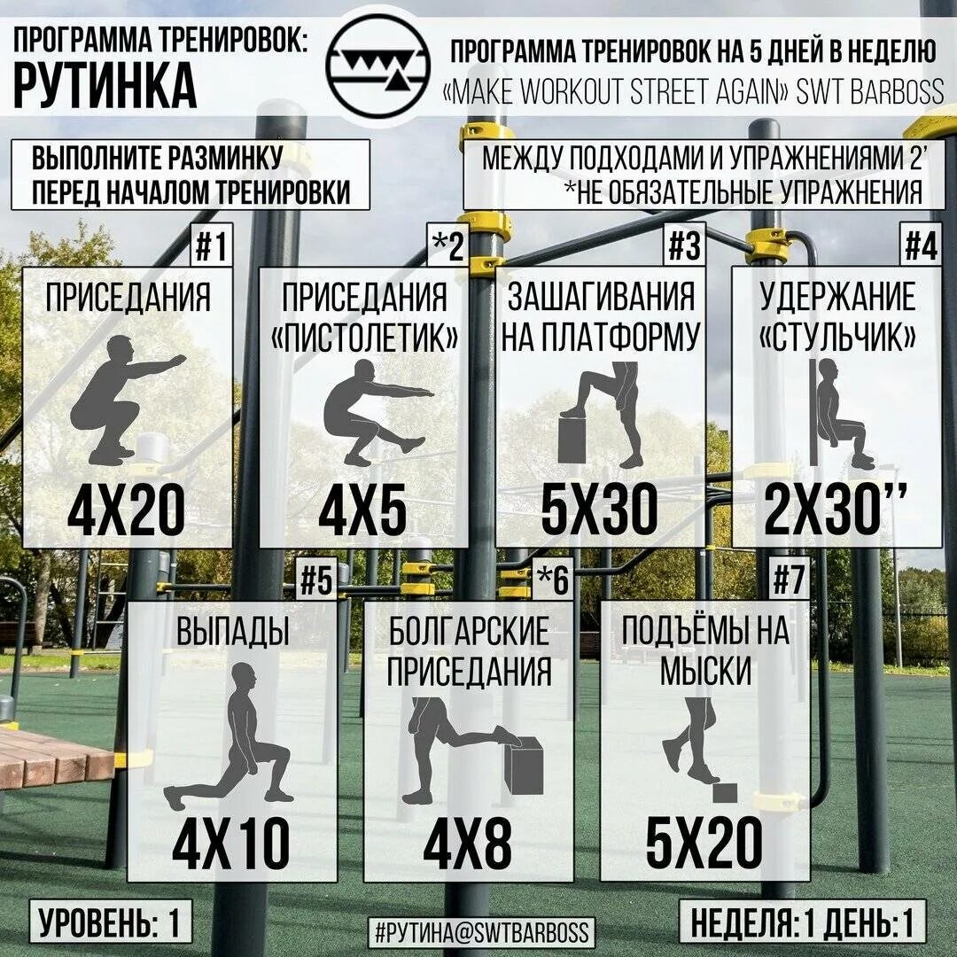 Тренировка на брусьях программа для начинающих. Программа тренировок на турнике. программа тренировок на турнике и брусьях. программа занятий турник брусья отжимания. план тренировок на турнике и брусьях.