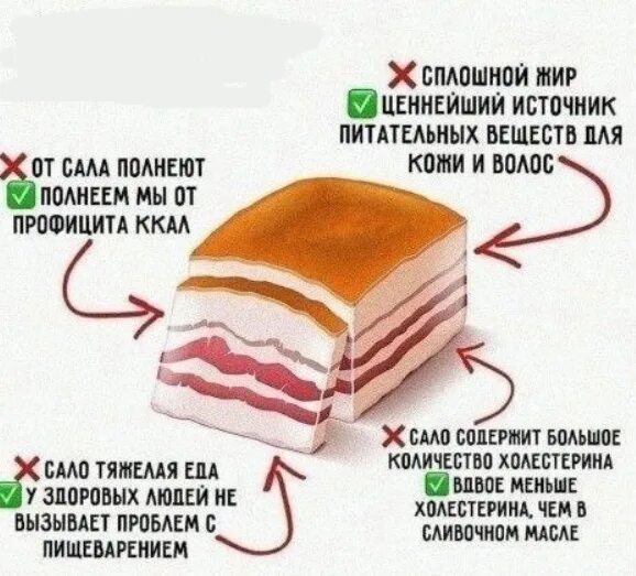 Едят ли сало. Едят ли сало