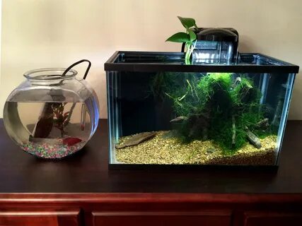 Nano tanks