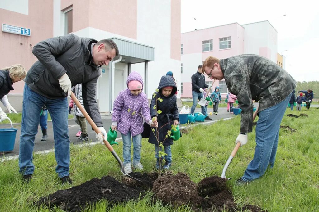 Посадка деревьев жилого дома. Озеленение детского сада. озеленение территории детского сада. озеленение и благоустройство территории школы. посадка деревьев.