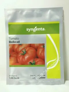 Голландские семена овощей