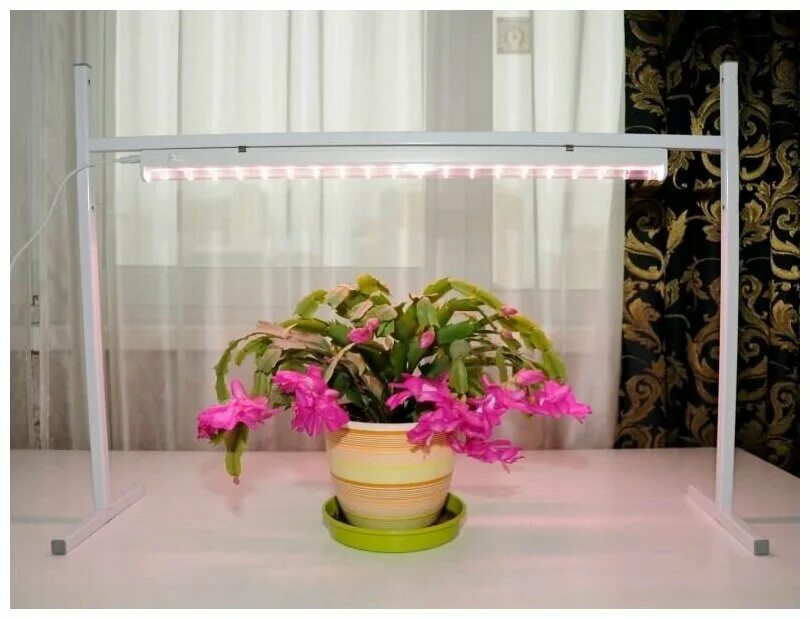 лампа для рассады. лампа для растений на стойке. подсветка для цветов светодиодная. Gauss mg004. "фито-сад" mg004.