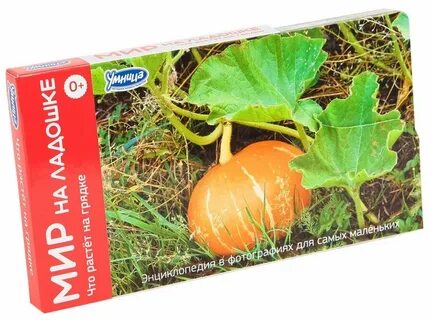 Мир умница