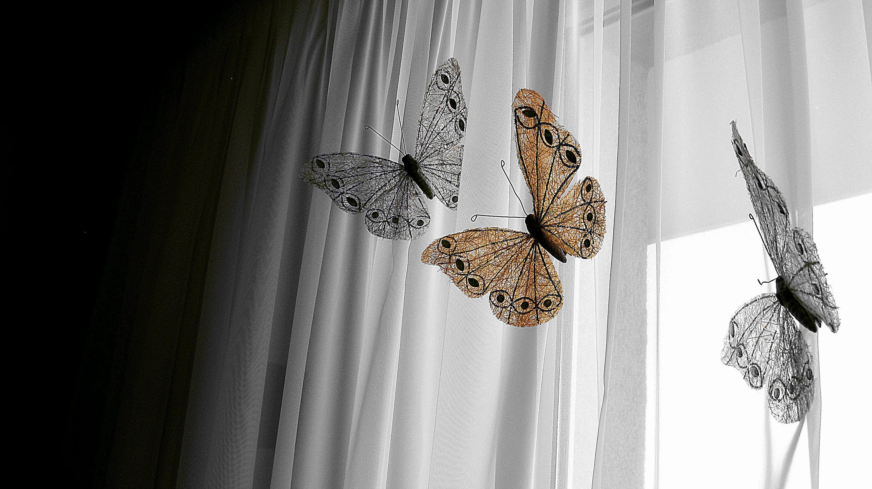 Бабочки на окна. Декоративные бабочки. Мотылек на окне. Бабочки интерьерные на окне.