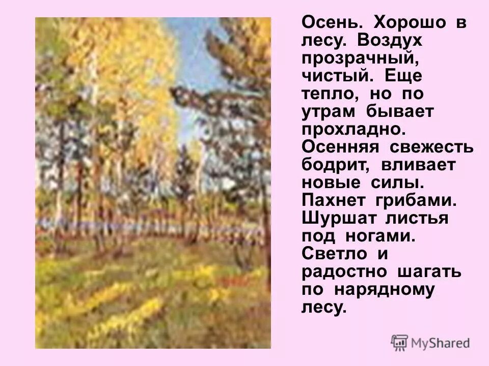 Маленький рассказ в лесу. Рассказ лес осенью. Утро в осеннем лесу рассказ. Осеннее утро рассказ. Рассказ про осенний лес.