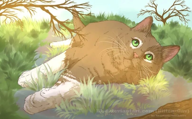 Коты воители мох. Коты воители трилистница. травница коты воители. коты воители мотылинка и ивушка. коты воители яблонька.