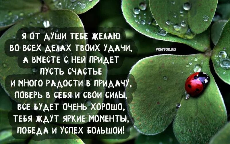 Пожелание будь первой. Поздравление удачи. Пожелания удачи и успеха. Успехов в работе пожелания. Открытка "удачи!".